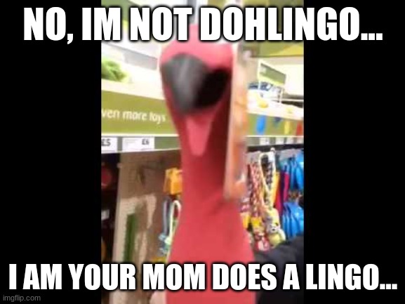 Who is Dohlingo, You ask? | NO, IM NOT DOHLINGO... I AM YOUR MOM DOES A LINGO... | image tagged in dohlingo | made w/ Imgflip meme maker