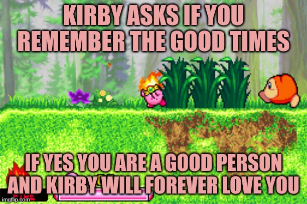 Kirby game | KIRBY ASKS IF YOU REMEMBER THE GOOD TIMES; IF YES YOU ARE A GOOD PERSON AND KIRBY WILL FOREVER LOVE YOU | image tagged in video games | made w/ Imgflip meme maker