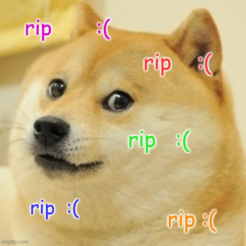 Doge | rip       :(; rip    :(; rip   :(; rip  :(; rip :( | image tagged in memes,doge | made w/ Imgflip meme maker