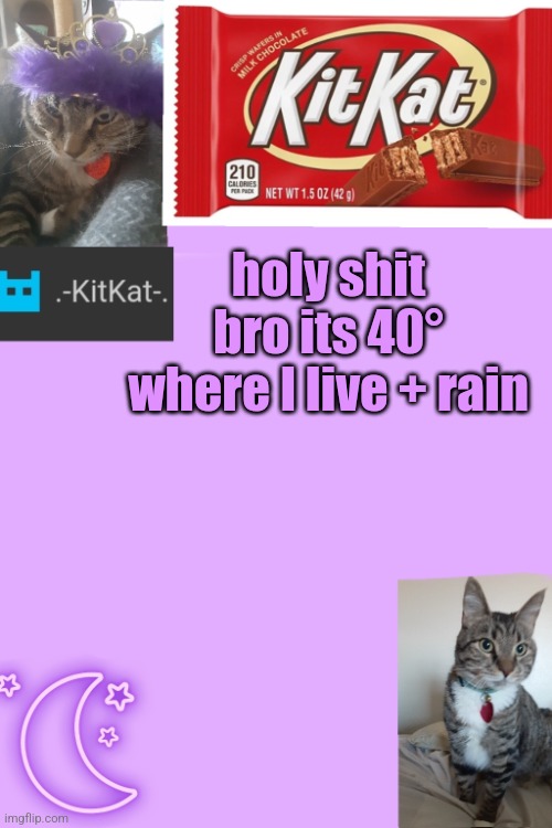Kittys announcement template kitkat addition | holy shit bro its 40° where I live + rain | image tagged in kittys announcement template kitkat addition | made w/ Imgflip meme maker