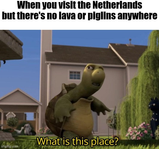 No lava? | When you visit the Netherlands but there's no lava or piglins anywhere | image tagged in what is this place,memes,netherlands,funny,repost | made w/ Imgflip meme maker