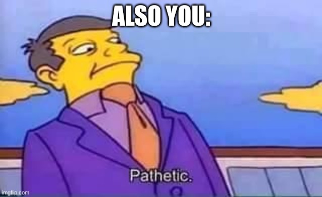 skinner pathetic | ALSO YOU: | image tagged in skinner pathetic | made w/ Imgflip meme maker