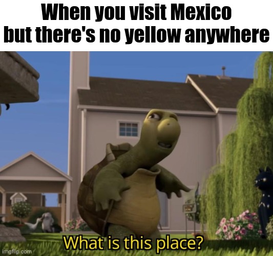 No yellow? | When you visit Mexico but there's no yellow anywhere | image tagged in what is this place,memes,mexico,funny | made w/ Imgflip meme maker