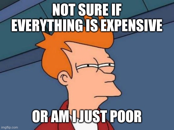 Is everything expensive or am I just poor | NOT SURE IF EVERYTHING IS EXPENSIVE; OR AM I JUST POOR | image tagged in memes,futurama fry | made w/ Imgflip meme maker