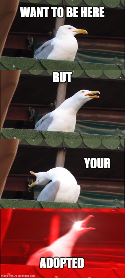 Inhaling Seagull | WANT TO BE HERE; BUT; YOUR; ADOPTED | made w/ Imgflip meme maker