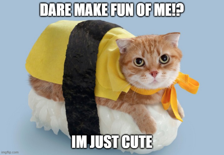 food cat | DARE MAKE FUN OF ME!? IM JUST CUTE | image tagged in food cat | made w/ Imgflip meme maker