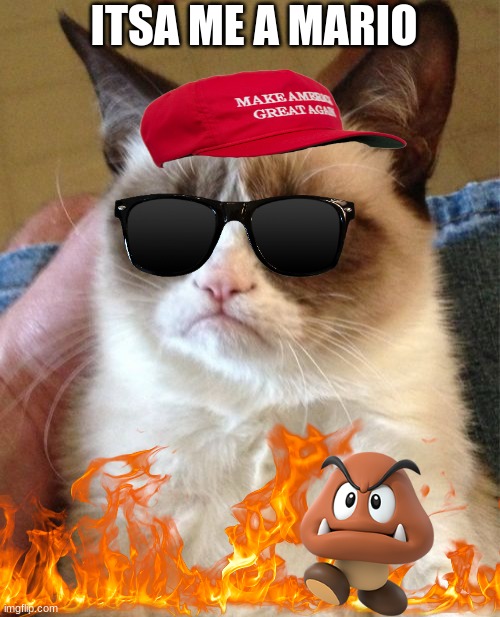 grumpy mario | ITSA ME A MARIO | image tagged in memes,mario,grumpy cat,bruh | made w/ Imgflip meme maker