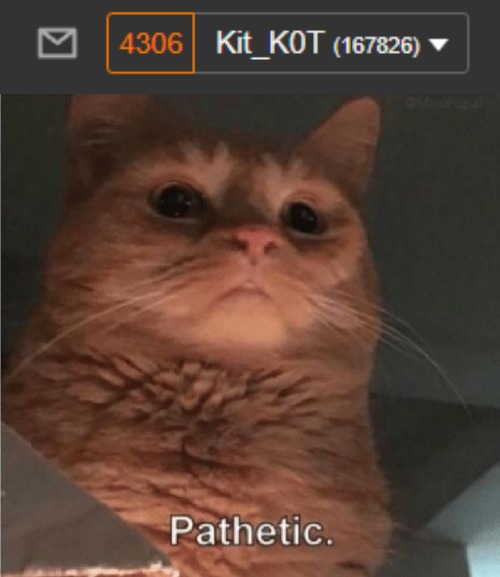 image tagged in pathetic cat | made w/ Imgflip meme maker