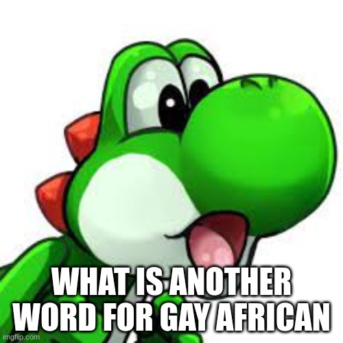 yoshi pog | WHAT IS ANOTHER WORD FOR GAY AFRICAN | image tagged in yoshi pog | made w/ Imgflip meme maker