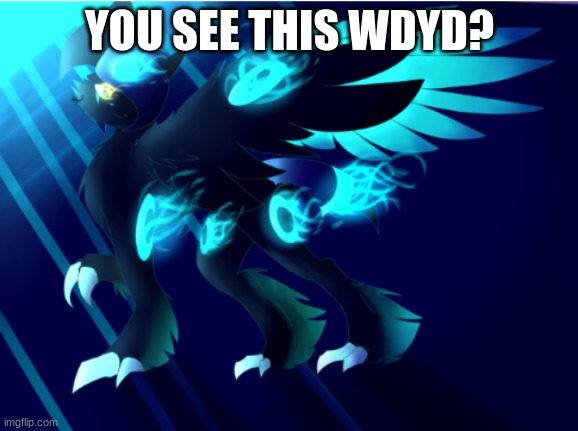 ... | YOU SEE THIS WDYD? | image tagged in umbreon absol | made w/ Imgflip meme maker