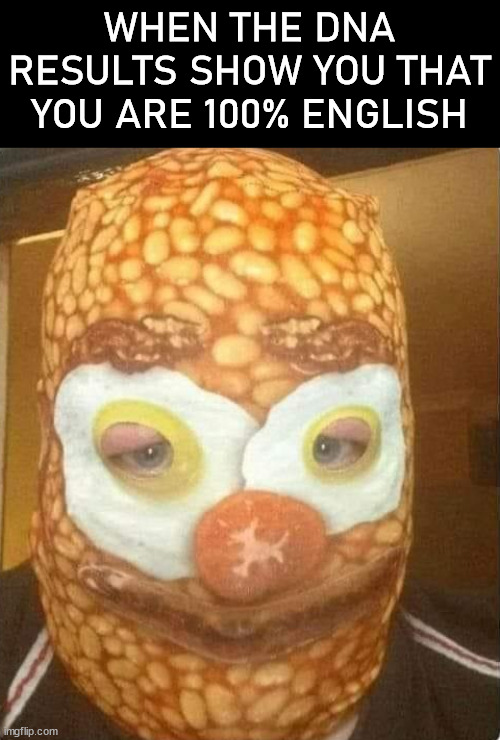 WHEN THE DNA RESULTS SHOW YOU THAT YOU ARE 100% ENGLISH | image tagged in cursed image | made w/ Imgflip meme maker