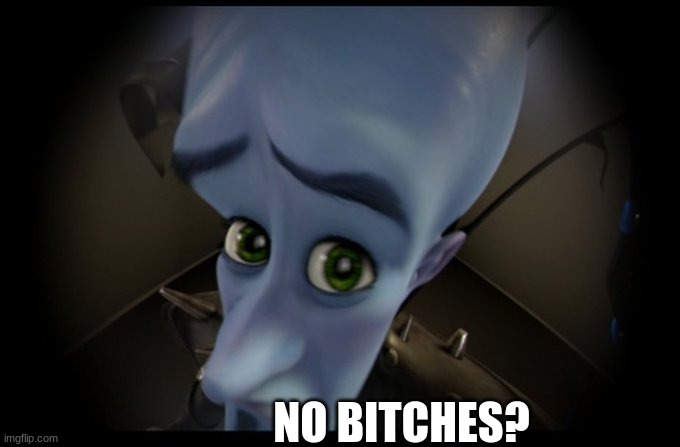Megamind Peeking | NO BITCHES? | image tagged in megamind peeking | made w/ Imgflip meme maker