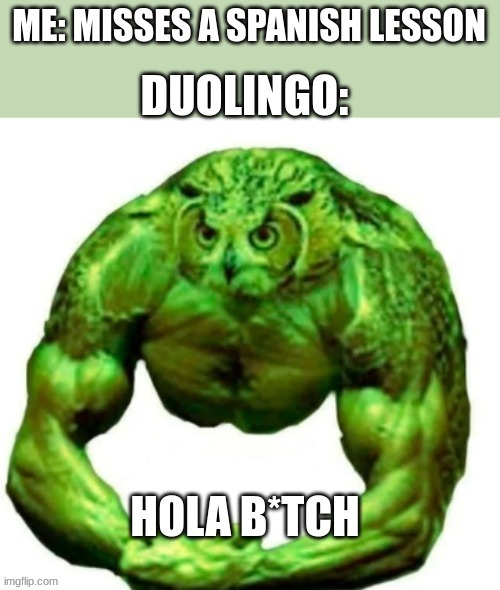 That Bird's Been Pumping Iron | image tagged in buff duolingo,duolingo,duolingo bird,spanish,lesson,buff | made w/ Imgflip meme maker