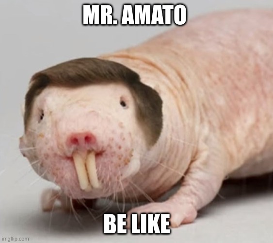 69 | MR. AMATO; BE LIKE | image tagged in 69 | made w/ Imgflip meme maker