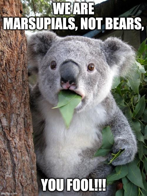 Surprised Koala | WE ARE MARSUPIALS, NOT BEARS, YOU FOOL!!! | image tagged in memes,surprised koala | made w/ Imgflip meme maker