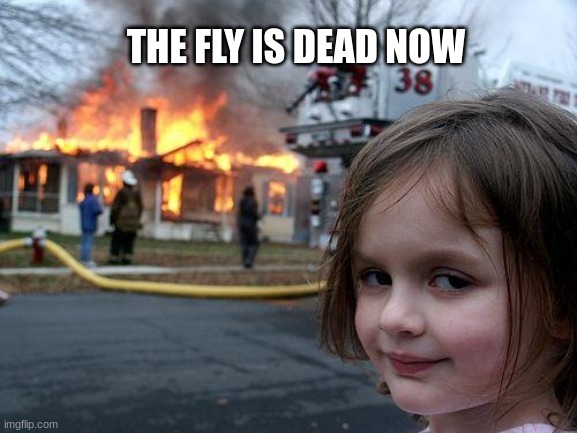 Disaster Girl Meme | THE FLY IS DEAD NOW | image tagged in memes,disaster girl | made w/ Imgflip meme maker