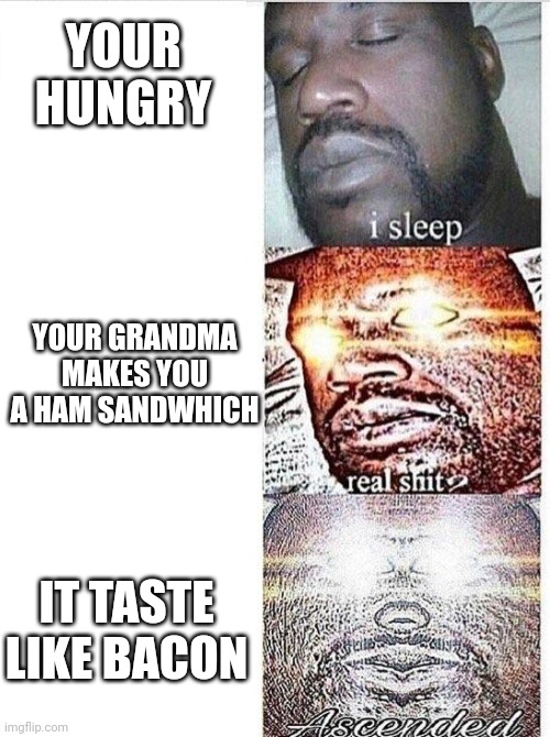 A gift from the heavens and Grandma | YOUR HUNGRY; YOUR GRANDMA MAKES YOU A HAM SANDWHICH; IT TASTE LIKE BACON | image tagged in i sleep meme with ascended template,memes,funny,grandma,i sleep | made w/ Imgflip meme maker