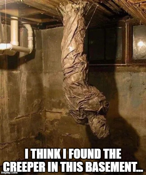 Jeepers! | I THINK I FOUND THE CREEPER IN THIS BASEMENT... | image tagged in unsee juice | made w/ Imgflip meme maker