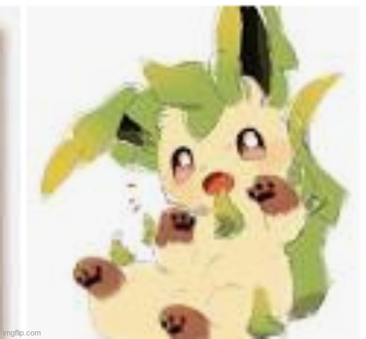 cute leafeon | image tagged in cute leafeon | made w/ Imgflip meme maker