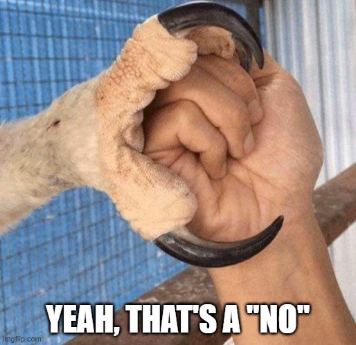 Harpy Eagle Talon | YEAH, THAT'S A "NO" | image tagged in unsee juice | made w/ Imgflip meme maker