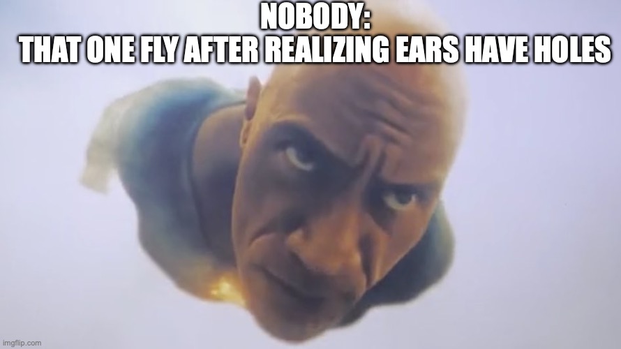 fly | NOBODY:
THAT ONE FLY AFTER REALIZING EARS HAVE HOLES | image tagged in black adam meme | made w/ Imgflip meme maker