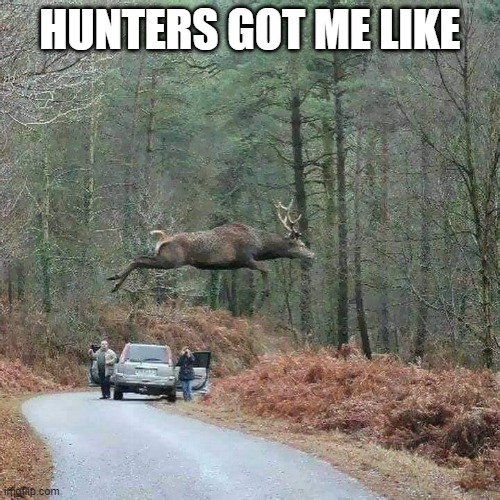 Leaping Deer | HUNTERS GOT ME LIKE | image tagged in funny animals | made w/ Imgflip meme maker