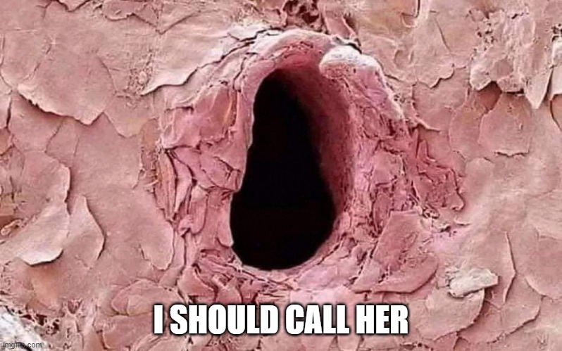 Cavagina | I SHOULD CALL HER | image tagged in sex jokes | made w/ Imgflip meme maker