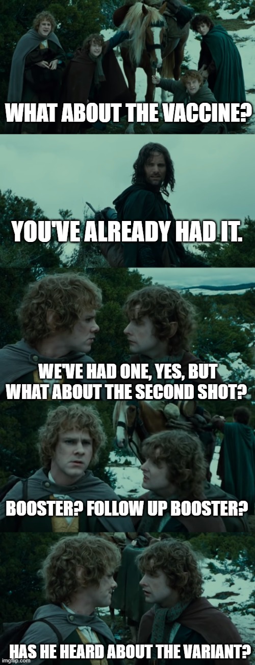 Lotr second breakfast | WHAT ABOUT THE VACCINE? YOU'VE ALREADY HAD IT. WE'VE HAD ONE, YES, BUT WHAT ABOUT THE SECOND SHOT? BOOSTER? FOLLOW UP BOOSTER? HAS HE HEARD ABOUT THE VARIANT? | image tagged in lotr second breakfast | made w/ Imgflip meme maker