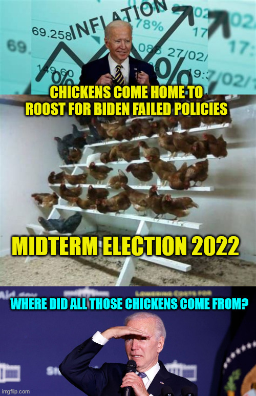 Vote like your economic well-being depends on it... because it does... | CHICKENS COME HOME TO ROOST FOR BIDEN FAILED POLICIES; MIDTERM ELECTION 2022; WHERE DID ALL THOSE CHICKENS COME FROM? | image tagged in democrats,hate,america | made w/ Imgflip meme maker