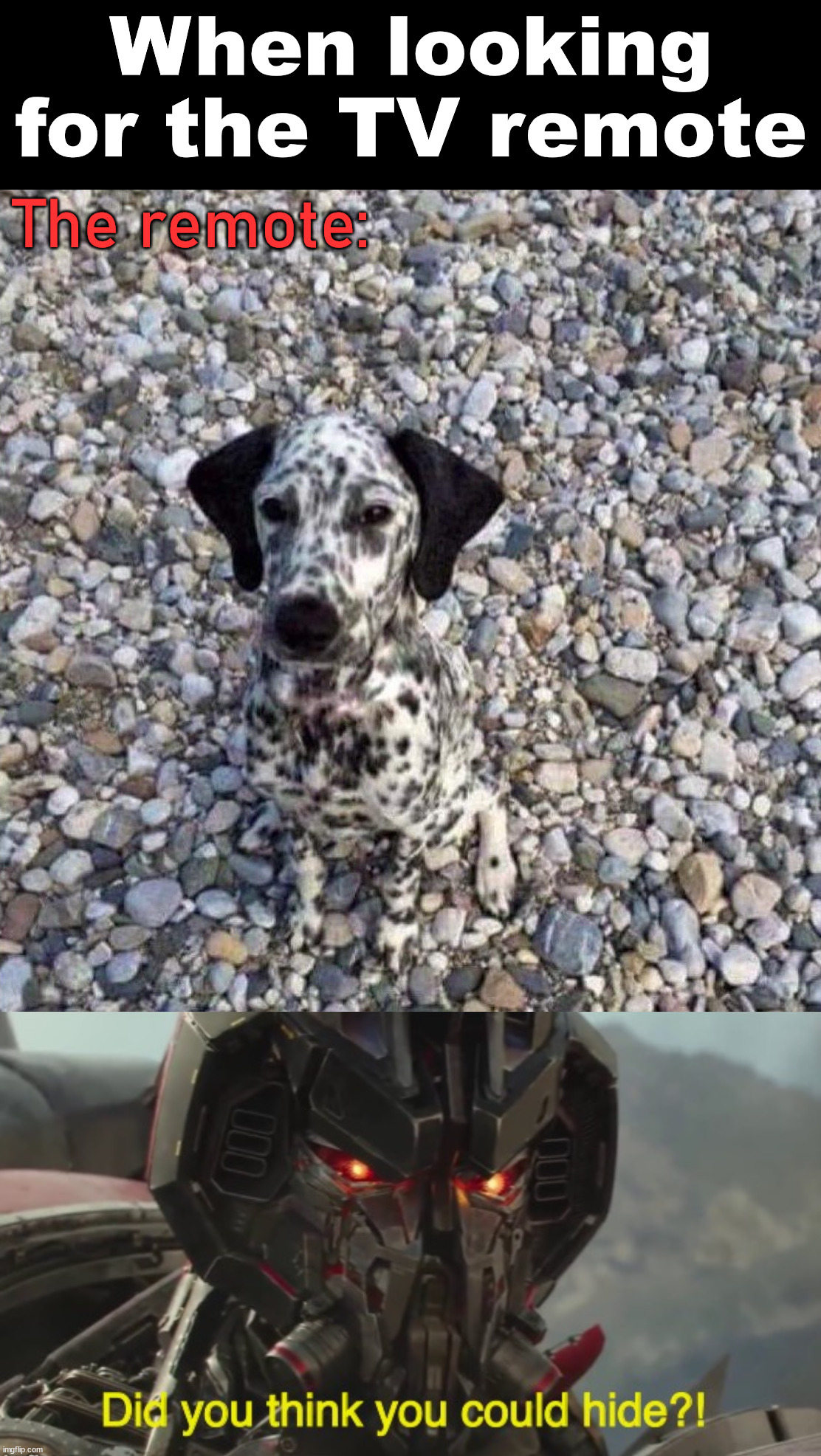 When Hiding In Plain Site Imgflip