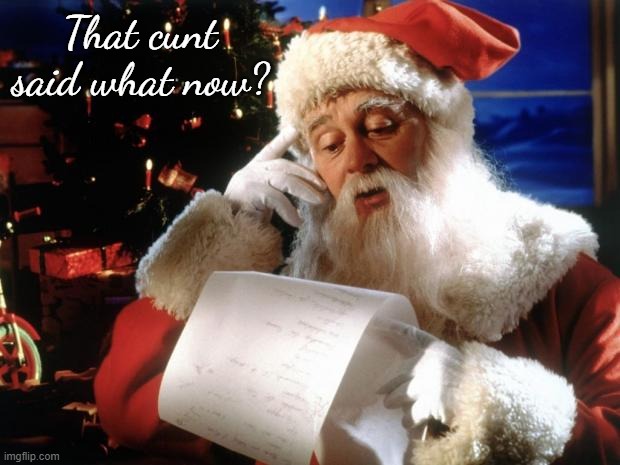 dear santa | That cunt said what now? | image tagged in dear santa | made w/ Imgflip meme maker