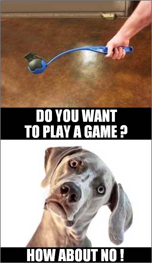 Doggy Jeopardy ! | DO YOU WANT TO PLAY A GAME ? HOW ABOUT NO ! | image tagged in dogs,jeopardy,grenade,i want to play a game,how about no | made w/ Imgflip meme maker