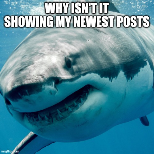 Only my first post | WHY ISN'T IT SHOWING MY NEWEST POSTS | image tagged in goofy ahh shark | made w/ Imgflip meme maker