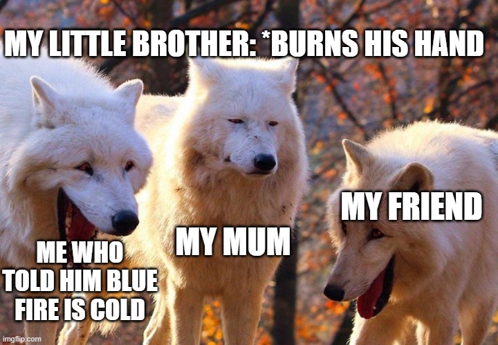 Lol. | MY LITTLE BROTHER: *BURNS HIS HAND; MY MUM; MY FRIEND; ME WHO TOLD HIM BLUE FIRE IS COLD | image tagged in 2/3 wolves laugh,memes,funny memes,funny,dark humor,little brother | made w/ Imgflip meme maker