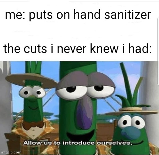 I can already feel the stinging | me: puts on hand sanitizer; the cuts i never knew i had: | image tagged in allow us to introduce ourselves | made w/ Imgflip meme maker