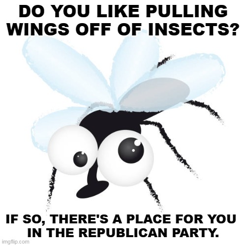 DO YOU LIKE PULLING WINGS OFF OF INSECTS? IF SO, THERE'S A PLACE FOR YOU 
IN THE REPUBLICAN PARTY. | image tagged in republicans,brutal,sadism,enjoy,pain | made w/ Imgflip meme maker