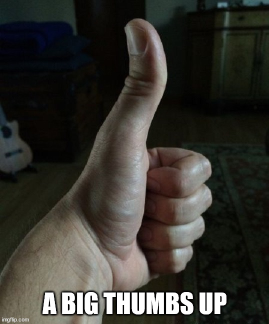 A BIG THUMBS UP | image tagged in eye roll | made w/ Imgflip meme maker