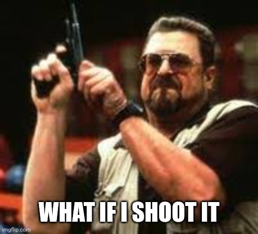 Man loading gun | WHAT IF I SHOOT IT | image tagged in man loading gun | made w/ Imgflip meme maker