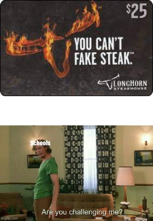 Fake steak | Schools | image tagged in are you challenging me,steak,fake,school | made w/ Imgflip meme maker