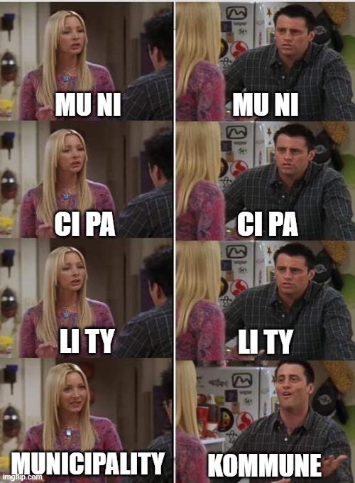 Phoebe Joey | MU NI; MU NI; CI PA; CI PA; LI TY; LI TY; MUNICIPALITY; KOMMUNE | image tagged in phoebe joey,copenhagen | made w/ Imgflip meme maker