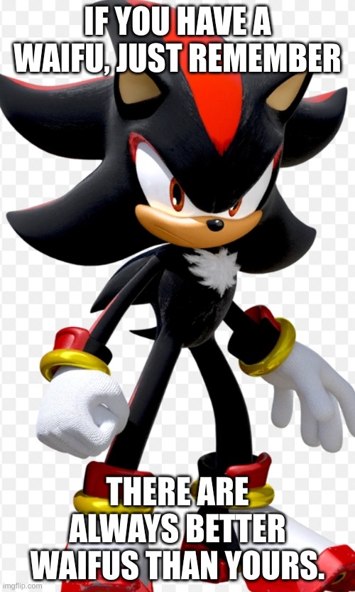 Shadow Status #2 | IF YOU HAVE A WAIFU, JUST REMEMBER; THERE ARE ALWAYS BETTER WAIFUS THAN YOURS. | image tagged in shadow the hedgehog,your waifu's trash | made w/ Imgflip meme maker