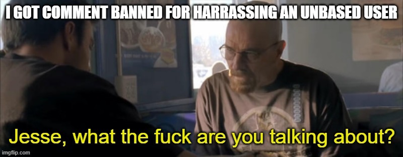 Jesse, WTF are you talking about? | I GOT COMMENT BANNED FOR HARRASSING AN UNBASED USER | image tagged in jesse wtf are you talking about | made w/ Imgflip meme maker