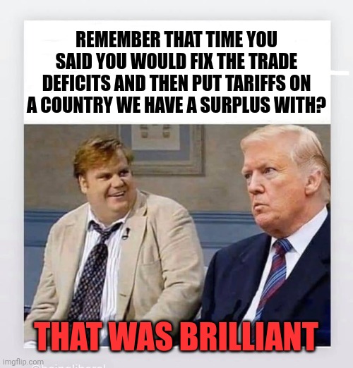 Candy Trump | REMEMBER THAT TIME YOU SAID YOU WOULD FIX THE TRADE DEFICITS AND THEN PUT TARIFFS ON A COUNTRY WE HAVE A SURPLUS WITH? THAT WAS BRILLIANT | image tagged in candy trump | made w/ Imgflip meme maker