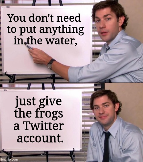 Jim Halpert Explains | You don't need 
to put anything in the water, just give 
the frogs 
a Twitter 
account. | image tagged in jim halpert explains | made w/ Imgflip meme maker