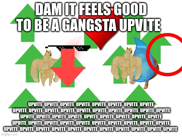 we live in a society | DAM IT FEELS GOOD TO BE A GANGSTA UPVITE; UPVITE  UPVITE  UPVITE  UPVITE  UPVITE  UPVITE  UPVITE  UPVITE  UPVITE  UPVITE  UPVITE  UPVITE  UPVITE  UPVITE  UPVITE  UPVITE  UPVITE  UPVITE  UPVITE  UPVITE  UPVITE  UPVITE  UPVITE  UPVITE  UPVITE  UPVITE  UPVITE  UPVITE  UPVITE  UPVITE  UPVITE  UPVITE  UPVITE  UPVITE  UPVITE  UPVITE  UPVITE  UPVITE  UPVITE  UPVITE  UPVITE  UPVITE  UPVITE  UPVITE  UPVITE  UPVITE  UPVITE  UPVITE | image tagged in we live in a society,society,social media,society if | made w/ Imgflip meme maker