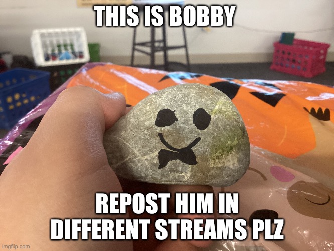 THIS IS BOBBY; REPOST HIM IN DIFFERENT STREAMS PLZ | made w/ Imgflip meme maker