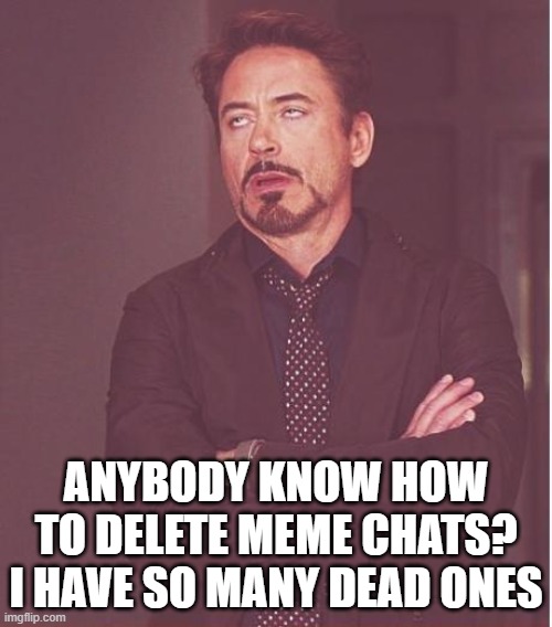 just askin' | ANYBODY KNOW HOW TO DELETE MEME CHATS?
I HAVE SO MANY DEAD ONES | image tagged in memes,face you make robert downey jr | made w/ Imgflip meme maker