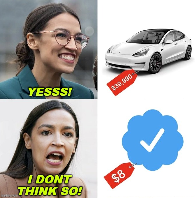 image tagged in aoc,liberal tears,election fraud,democrats,liberal hypocrisy,elon musk | made w/ Imgflip meme maker