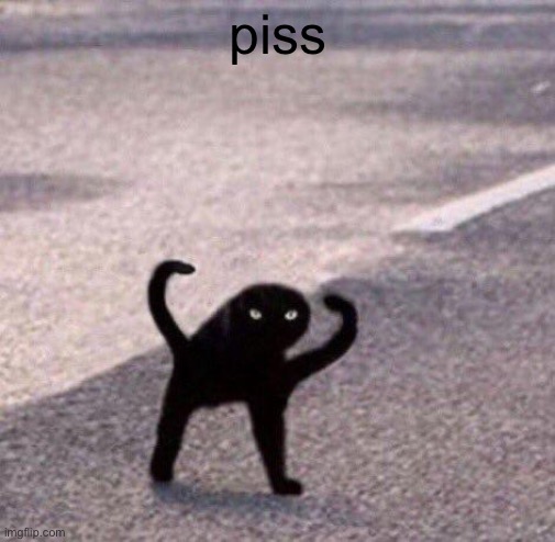 Cursed cat temp | piss | image tagged in cursed cat temp | made w/ Imgflip meme maker
