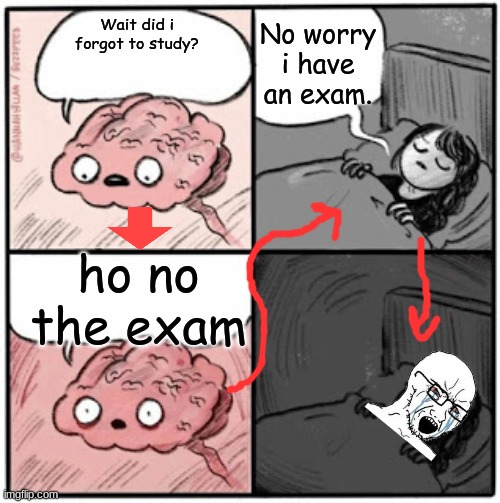 Brain Before Sleep | No worry i have an exam. Wait did i forgot to study? ho no the exam | image tagged in brain before sleep | made w/ Imgflip meme maker